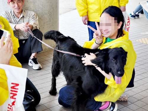 ’14 FCI近畿インタードッグショー_f0176499_20583150.jpg