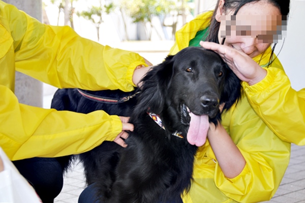 ’14 FCI近畿インタードッグショー_f0176499_20584562.jpg