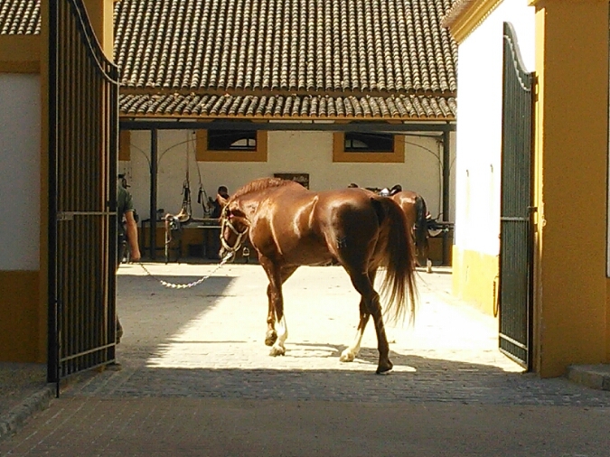 c0212604_215434.jpg