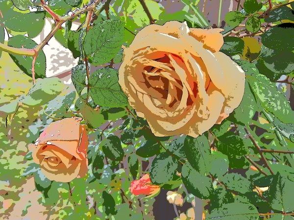 c0056707_1949489.jpg
