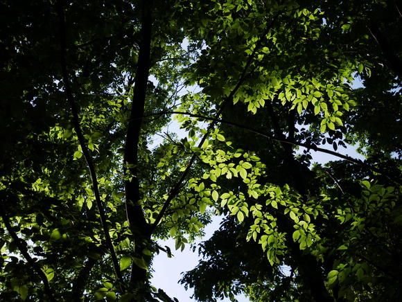 f0302208_2048553.jpg