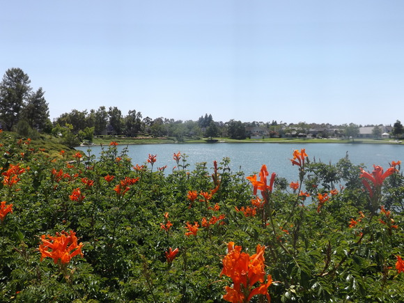 a0144811_102951.jpg