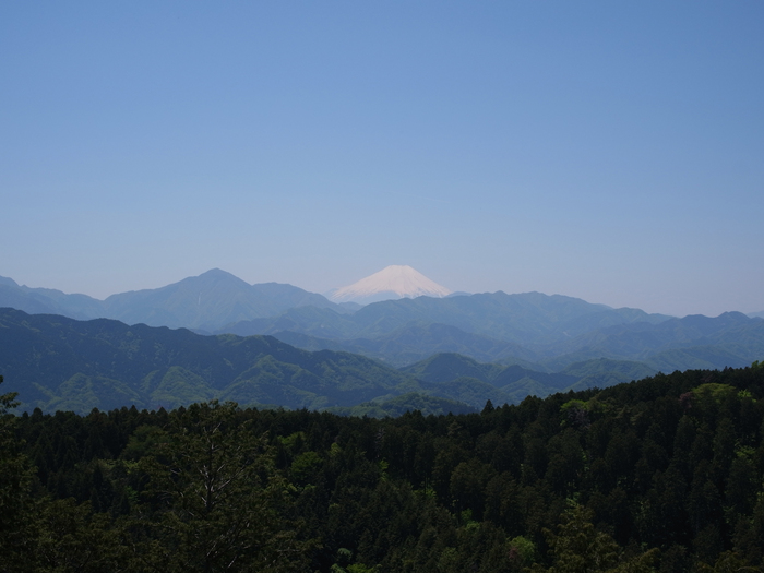 裏高尾_e0276411_18153685.jpg