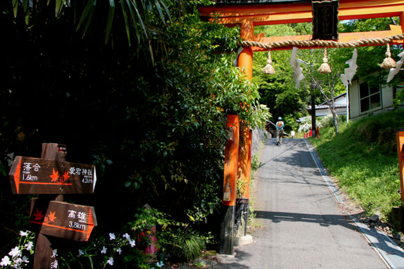 清滝 嵯峨野新緑_e0048413_19555625.jpg