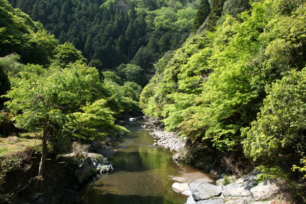 清滝 嵯峨野新緑_e0048413_19564019.jpg