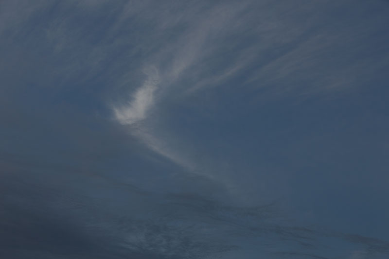 a0278914_10342738.jpg