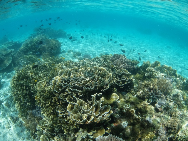 c0211615_8481634.jpg