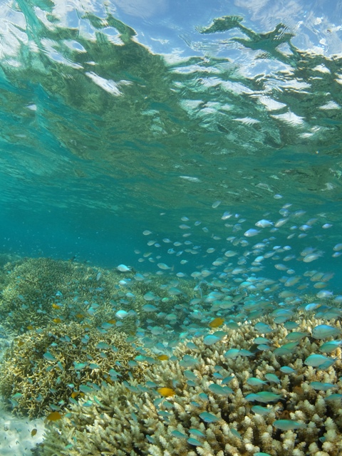 c0211615_849334.jpg