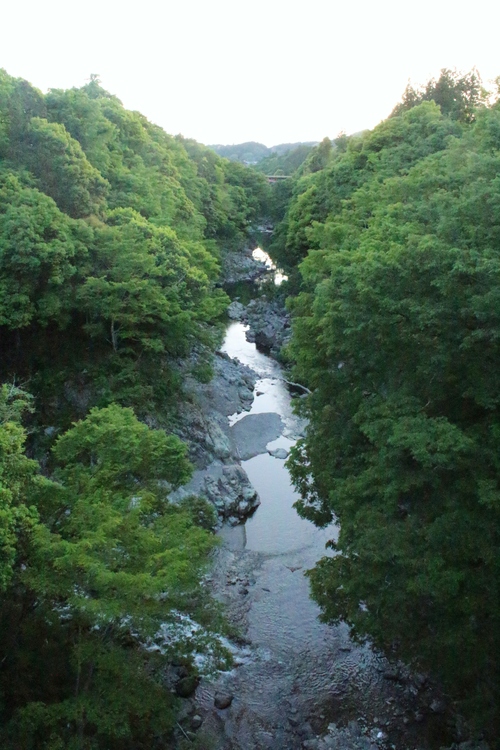 安樹さんにて_b0220318_601440.jpg