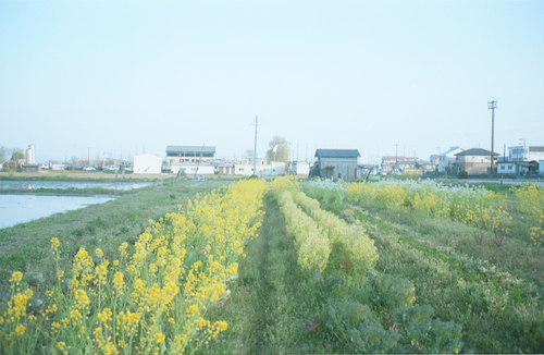 自然農を訪ねて 京都から滋賀へ_b0212922_10553516.jpg