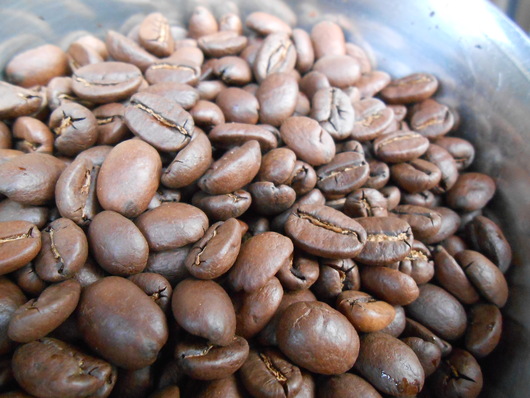 グァテマラ 初摘み コーヒーセミナー_b0136223_19202771.jpg