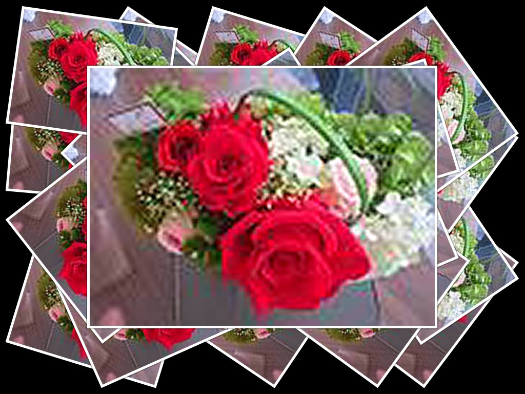 d0065324_19283497.jpg