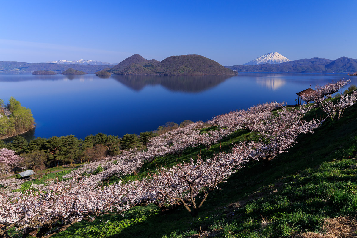 壮瞥公園 梅林の朝 山歩き川歩き
