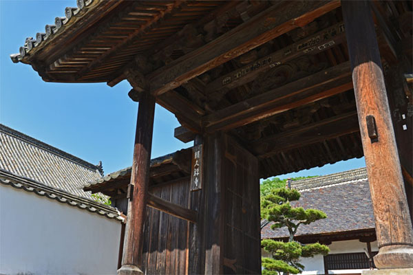 d0029829_52537.jpg