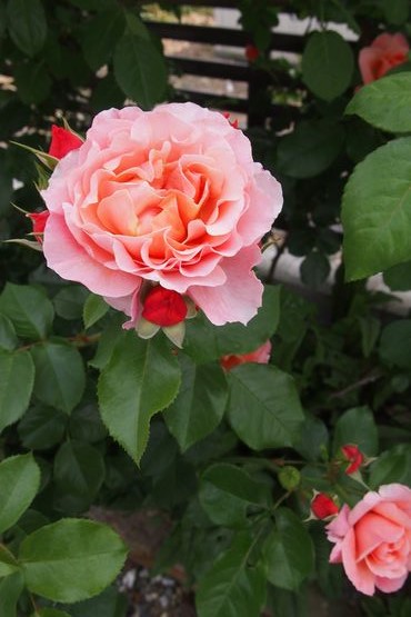 f0243731_00074979.jpg