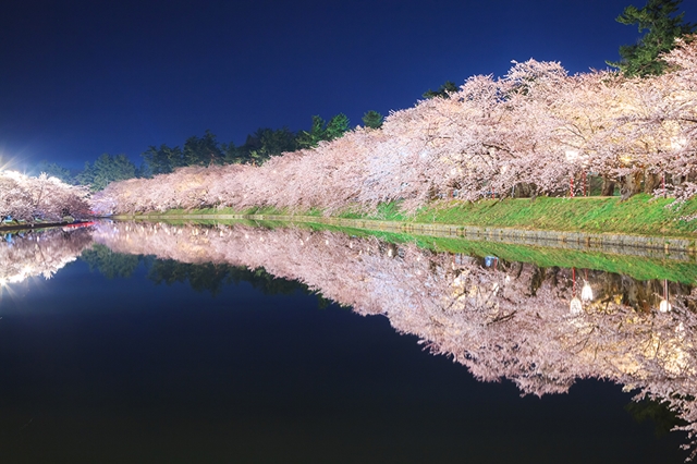 西濠の夜桜 東京カメラ部編 東北 青森 八戸 弘前エリア中心のフォト 西濠の夜桜 東京カメラ部編 東北 青森 八戸 弘前エリア中心のフォト