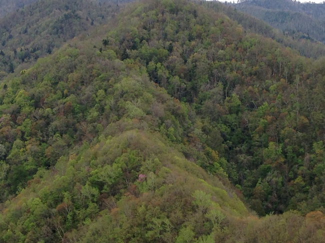 d0235336_2241855.jpg