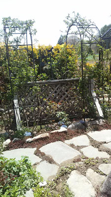 a0276937_21164616.jpg