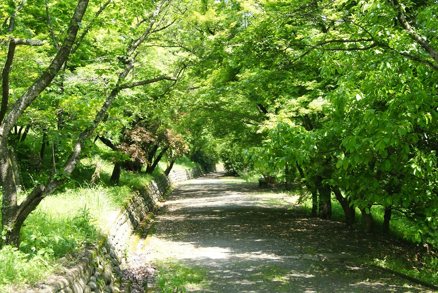 c0298740_2246158.jpg