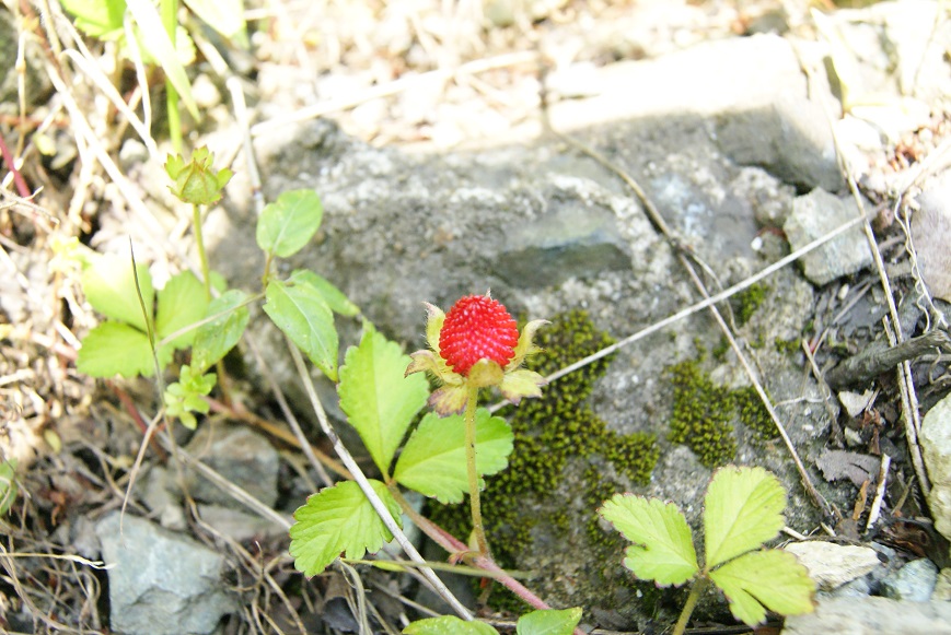 c0298740_22465881.jpg