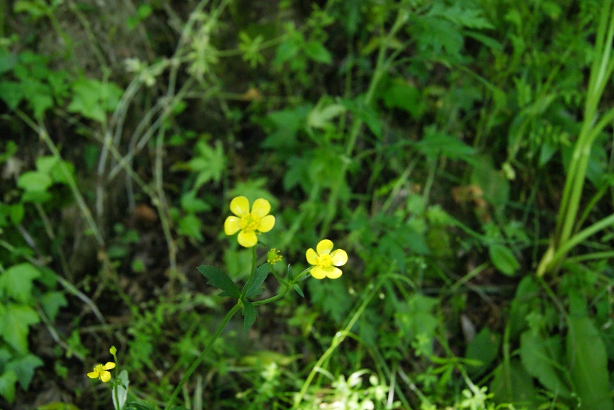 c0298740_2247252.jpg