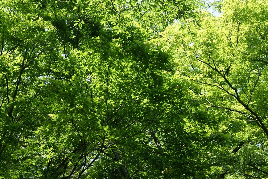 c0298740_23142317.jpg