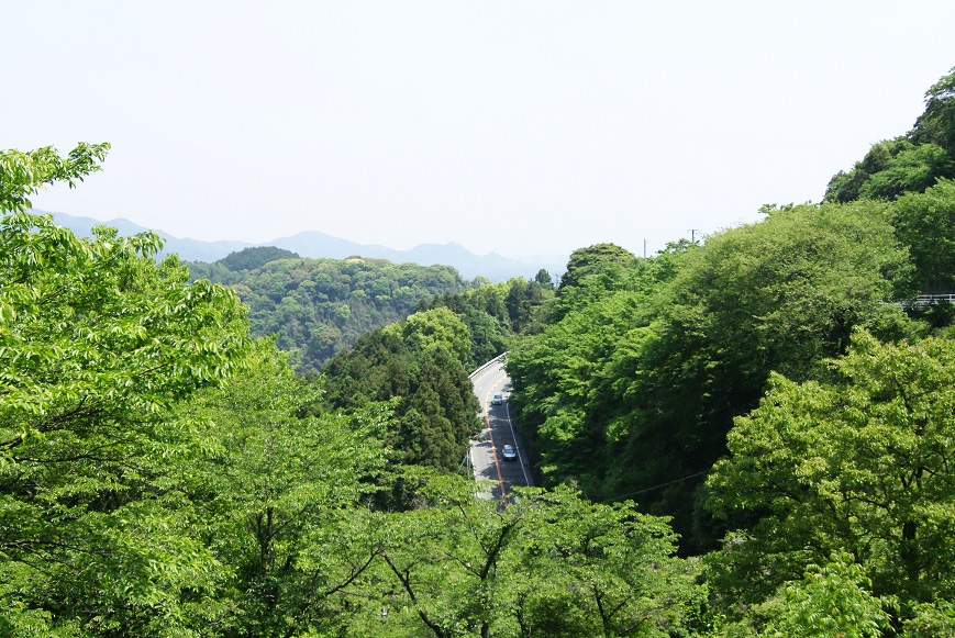 c0298740_23145440.jpg