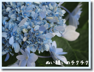 b0156541_11183875.png