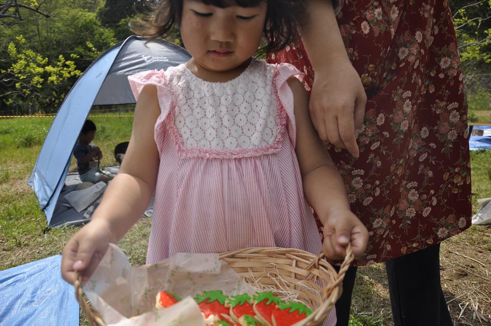 e0060542_11233213.jpg