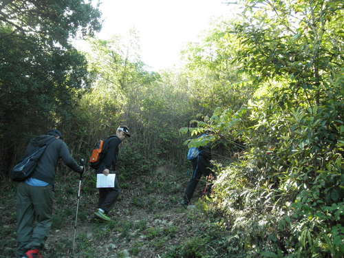 第8回登山部報告_b0211845_20202236.jpg