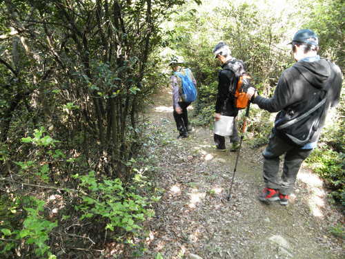 第8回登山部報告_b0211845_2030620.jpg