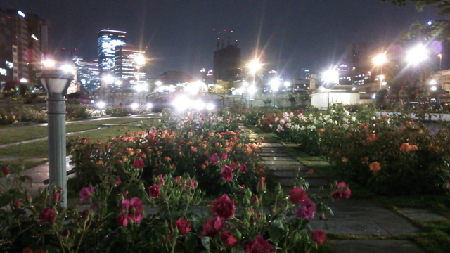 b0069548_2211011.jpg