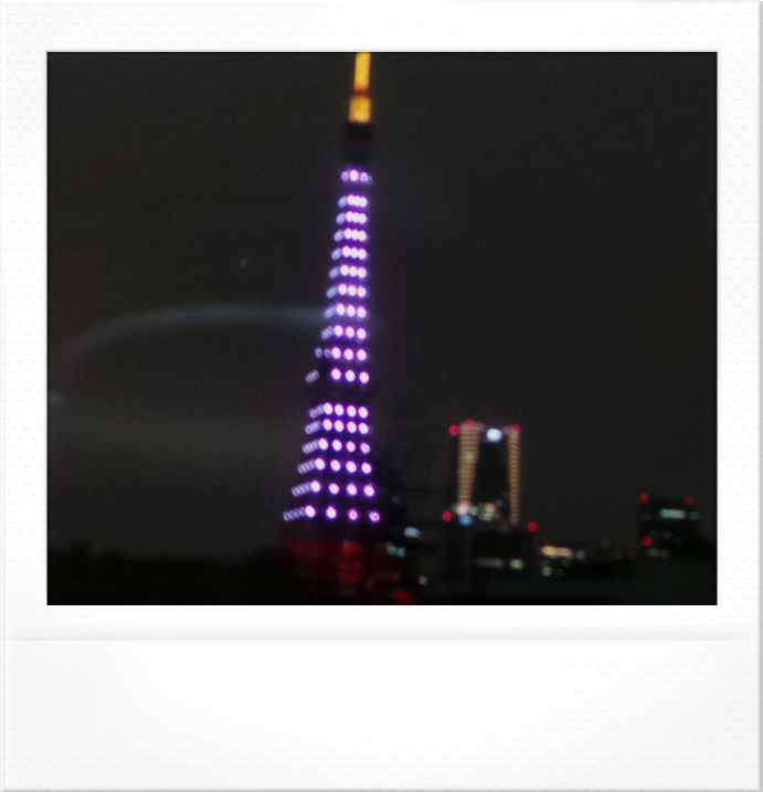 a0268149_4574981.png