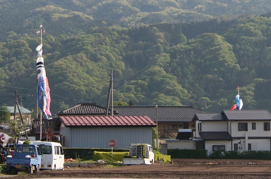 e0126350_1224471.jpg