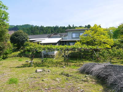 株式会社旬援隊敷地内の様子 この花がこう実るんです!!(果実編)_a0254656_1941408.jpg