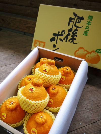 株式会社旬援隊敷地内の様子 この花がこう実るんです!!(果実編)_a0254656_19491495.jpg