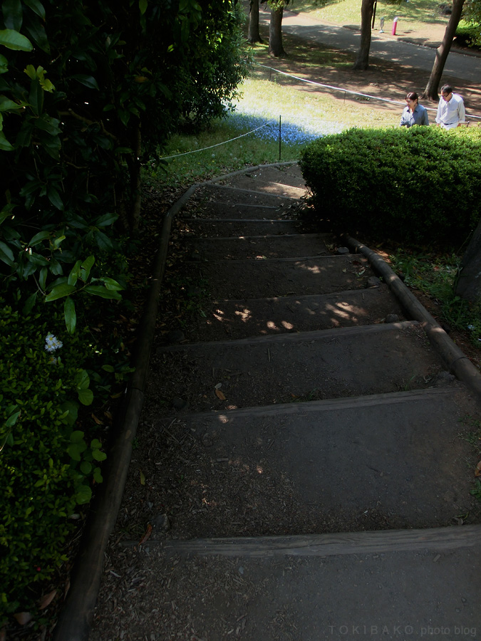 d0100156_16285811.jpg
