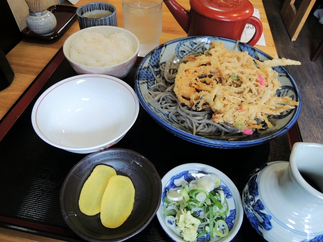 野菜かき揚げ定食600円_d0188162_222259.jpg