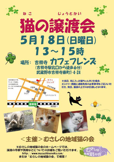 猫の譲渡会で作品販売します_c0321263_22180026.jpg