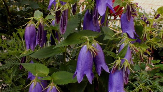 b0214473_20263636.jpg