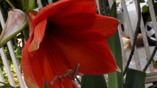 b0214473_2049371.jpg