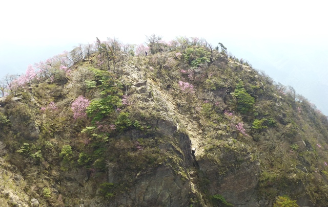 2014-0511傾山へ_d0126573_23572736.jpg