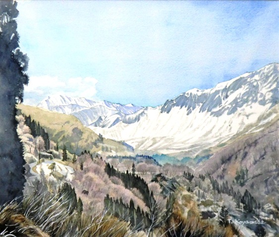 e0269574_84390.jpg
