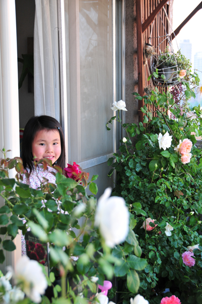 エブリン開花！　2014年5月13日（火）_c0004078_2261932.jpg