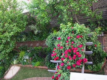 c0117898_18442998.jpg