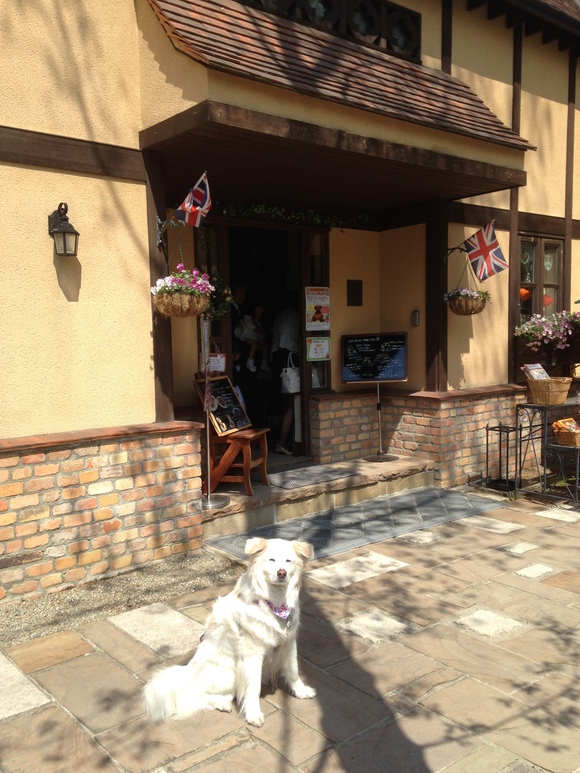 那須ステンドグラス美術館カフェ Islay And Pals アイラと素敵な仲間達blog Islay The Mutt 那須ステンドグラス美術館カフェ Islay And Pals アイラと素敵な仲間達blog Islay The Mutt