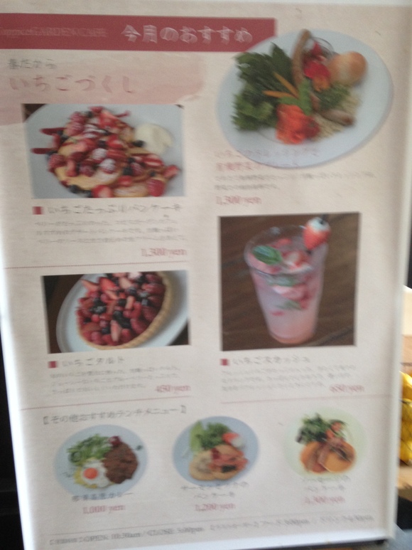 Green Cafe Coppice Garden コピス ガーデン 那須 Islay And Pals アイラと素敵な仲間達blog Islay The Mutt