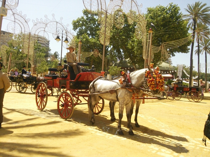 c0212604_2451369.jpg