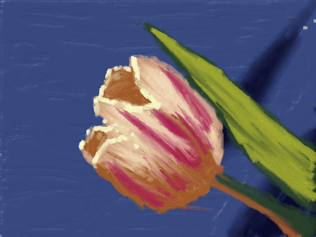 お絵描き開始_d0077106_14204424.jpg