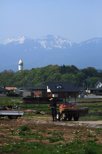 田植えの季節_a0251508_22175689.jpg